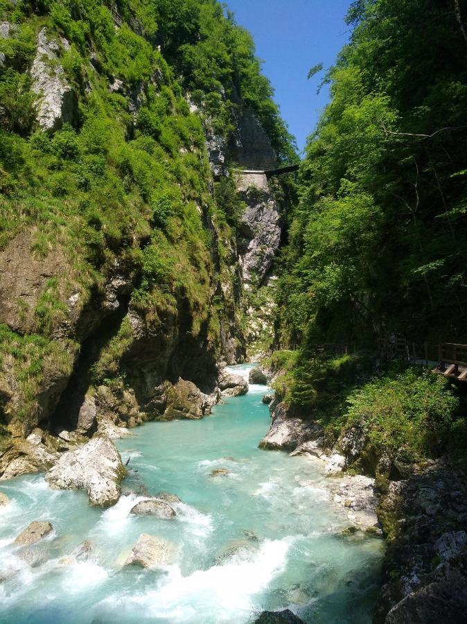 Apartma Gorjan Tolmin Bagian luar foto